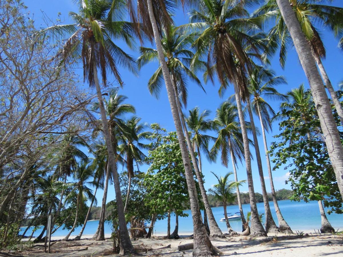 Bocas Del Mar Hotel Boca Chica Eksteriør billede